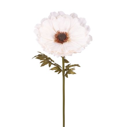 ΠΑΙΩΝΙΑ, ΚΡΕΜ, 50x50x120cm