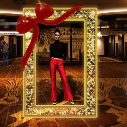 PROFESSIONAL DESIGN, PHOTO FRAME, WARM WHITE LED ROPE LIGHT, 165x250cm, IP65