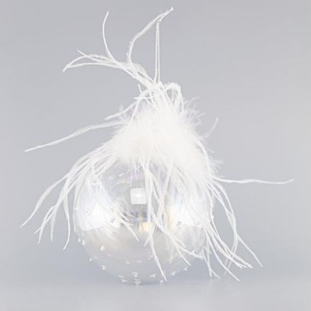 GLASS TRANSPARENT BALL, RELIEF WITH FEATHERS, SET 4PCS, 10cm