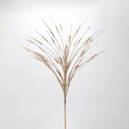 ΚΛΑΔΙ CATTAIL, ΣΑΜΠΑΝΙ, 61cm