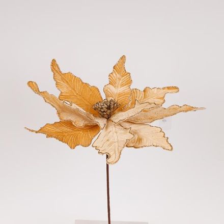 ΛΟΥΛΟΥΔΙ, GRANDE, ΣΑΜΠΑΝΙ, 44x50cm