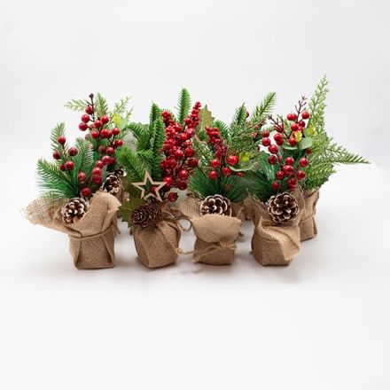 DISPLAY BOX, ΓΛΑΣΤΡΑΚΙΑ ΜΕ ΛΙΝΑΤΣΑ, 3 ΣΧΕΔΙΑ, 12ΤΜΧ, 22cm