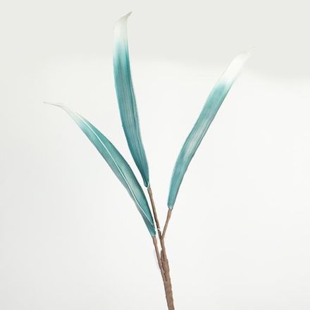 ΛΟΥΛΟΥΔΙ/ ΚΛΑΔΙ FOAM ΜΠΛΕ-ΚΡΕΜ 80cm