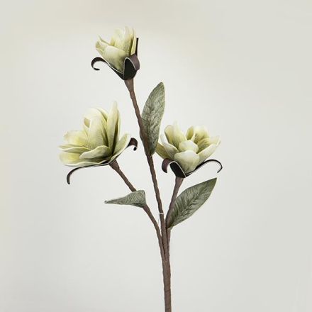 ΛΟΥΛΟΥΔΙ/ΚΛΑΔΙ FOAM ΠΡΑΣΙΝΟ 102cm