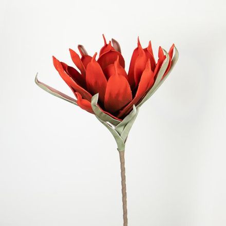 ΛΟΥΛΟΥΔΙ/ΚΛΑΔΙ FOAM ΚΟΚΚΙΝΟ 90cm