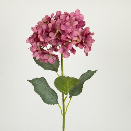 ΛΟΥΛΟΥΔΙ/ΚΛΑΔΙ ΥΔΡΑΓΓΕΙΑ ΜΩΒ 77cm