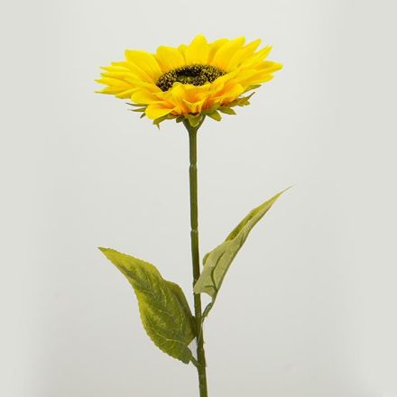 ΛΟΥΛΟΥΔΙ/ΚΛΑΔΙ ΗΛΙΟΤΡΟΠΙΟ ΚΙΤΡΙΝΟ 60cm