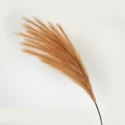 ΚΛΑΔΙ ΠΑΜΠΑΣ ΑΝΟΙΧΤΟ ΚΑΦΕ 112cm
