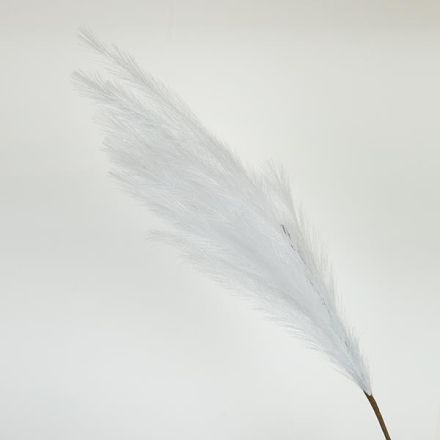 ΚΛΑΔΙ ΠΑΜΠΑΣ ΛΕΥΚΟ 112cm