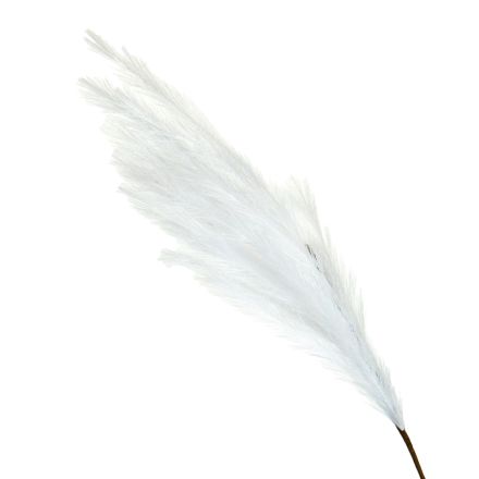 ΚΛΑΔΙ ΠΑΜΠΑΣ ΛΕΥΚΟ 112cm