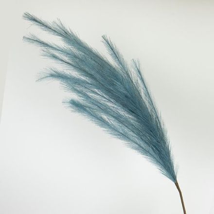 ΚΛΑΔΙ ΠΑΜΠΑΣ ΜΠΛΕ 112cm