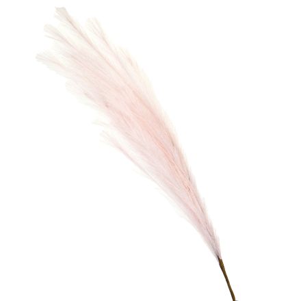 ΚΛΑΔΙ ΠΑΜΠΑΣ ΡOZ 112cm