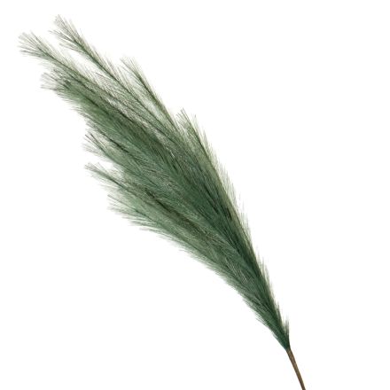 ΚΛΑΔΙ ΠΑΜΠΑΣ ΠΡΑΣΙΝΟ 112cm