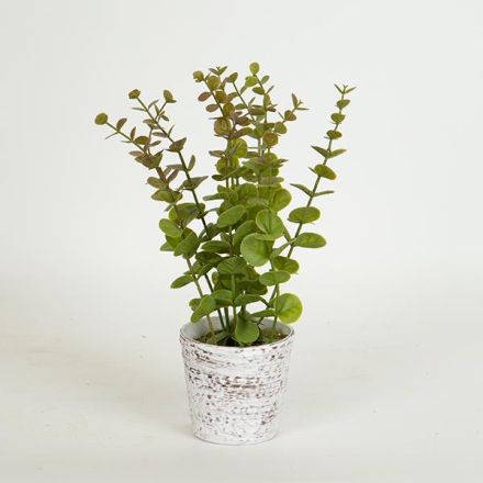 PLANT IN A POT PLASTIC 29cm