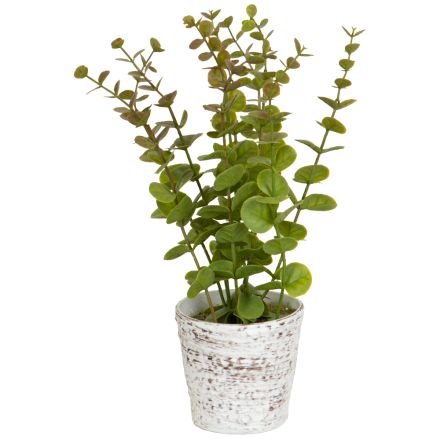 PLANT IN A POT PLASTIC 29cm