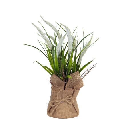 REED IN A GUNNY POT WHITE-NATURAL 38cm