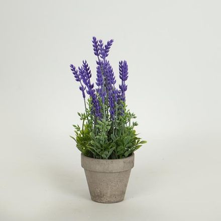 ΦΥΤΟ ΣΕ ΓΛΑΣΤΡΑΚΙ ΑΠΟ ΧΑΡΤΙΝΗ ΠΟΥΛΠΑ ΓΚΡΙ-ΜΩΒ 27cm