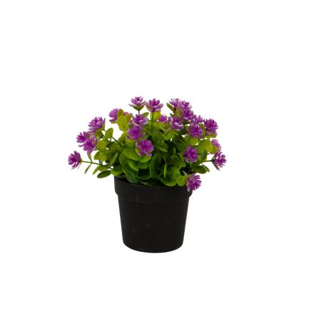 PURPLE FLOWER IN A POT 16cm