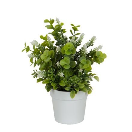 PLANT IN A  POT WHITE 22cm
