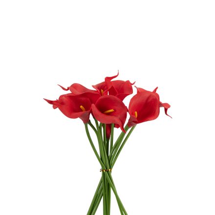 BOUQUET FOAM RED 30cm