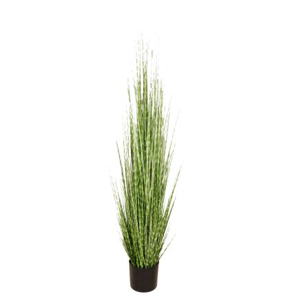 PLANT GRASS IN A POT PLASTIC GREEN 153cm