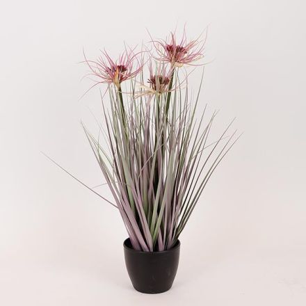 ΦΥΤΟ ΓΡΑΣΙΔΙ ΜΕ ΡΟΖ ΑΝΘΟΣ ΣΕ ΓΛΑΣΤΡΑ ΠΛΑΣΤΙΚΟ 54cm