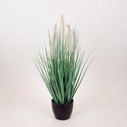 ΦΥΤΟ ΓΡΑΣΙΔΙ ΜΕ ΛΕΥΚΟ ΑΝΘΟΣ ΣΕ ΓΛΑΣΤΡΑ ΠΛΑΣΤΙΚΟ 54cm