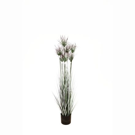 PLANT GRASS WITH PINK FLOWER IN A POT PLASTIC 122cm
