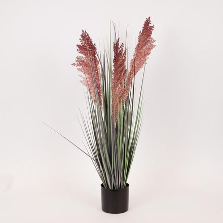 ΦΥΤΟ ΓΡΑΣΙΔΙ ΣΕ ΓΛΑΣΤΡΑ ΠΛΑΣΤΙΚΟ 69cm