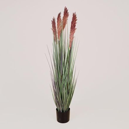 PLANT GRASS WITH PINK FLOWER IN A POT PLASTIC 122cm