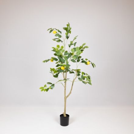 ARTIFICIAL LEMON TREE WITH PLASTIC POT FABRIC-PLASTIC-IRON 120cm