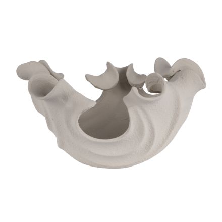 DECORATIVE PLATE SHELL WHITE 30x24x17.5cm